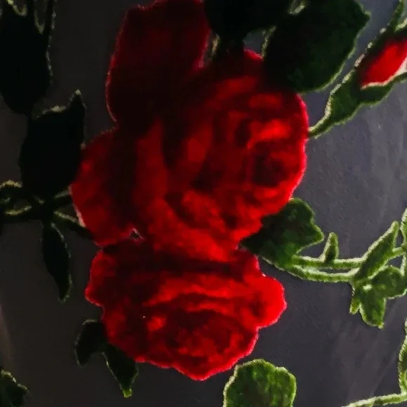 Vintage 90’s Betsey Johnson NY Dress Black Red Rose Mesh Velvet Burnout Sz L - Picture 5 of 13